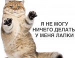 не-могу-ничего-делать-у-меня-лапки[1].jpg